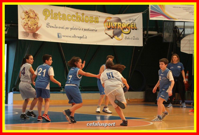 170317 basket 229_tn.jpg
